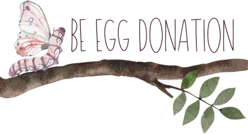 Be Egg Donation